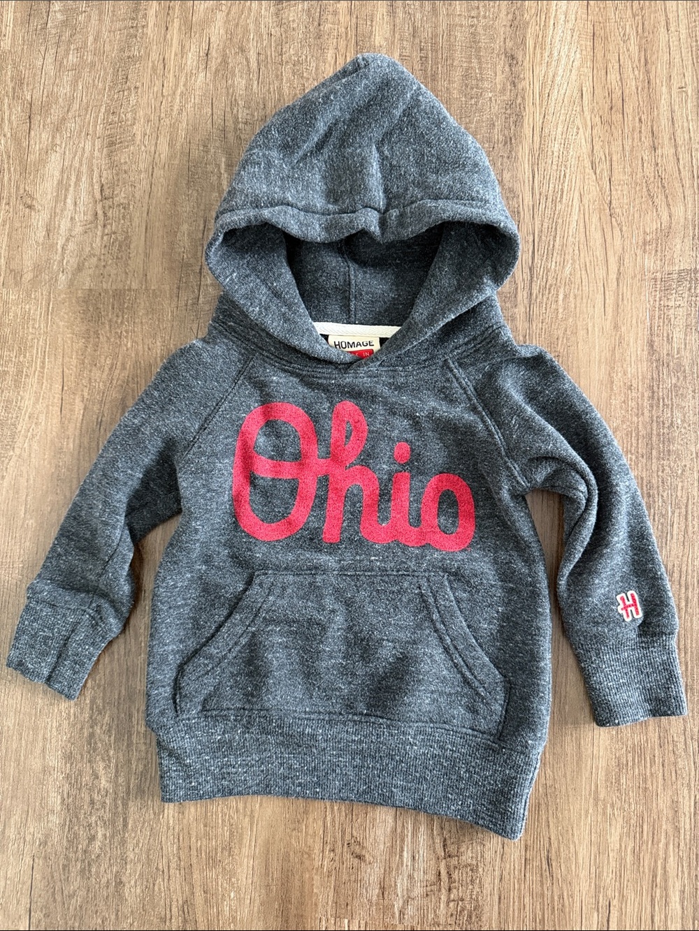 HOMAGE Kids Charcoal Gray Hoodie with Red Script "Ohio"